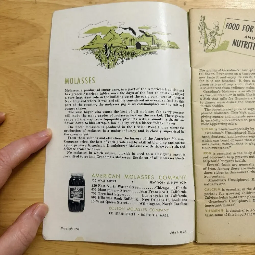 Grandmas Recipes for Mother and Daughter Old Fashioned Molasses Vintage Cookbook